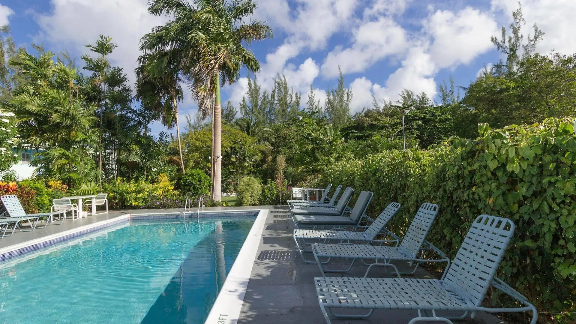 ברידג'טאון Palm Garden Hotel Barbados